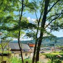 국토종주자전거길1-3 이미지