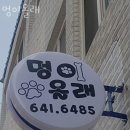 멍이올래 이미지
