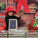 대천농장 | 보령 딸기체험 보령팜 플러스 대천해수욕장 겨울여행코스