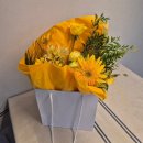 헤쎄드 | 도계동 꽃집 헤쎄드플라라 꽃다발 필요할 때 추천