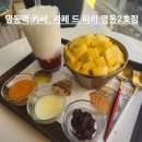 카페드파리 명동2호점 | 명동역 카페 망고 빙수 맛집 카페 드 파리 명동 2호점