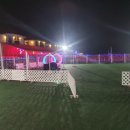 펫아일랜드2 이미지