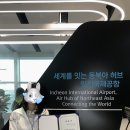 콘텐츠제작단 | 항덕을 위한 대외활동 .. ✈️ 인천공항 SNS 서포터즈 합격 후기