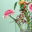 화성천 이미지