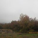 구례향기 이미지