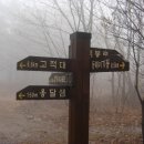 금곡동-11 이미지