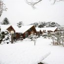 심스캐빈 이미지