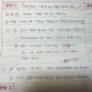 개론 종강 모의고사 B형 1. -3) (루빈의 사회인지적 놀이 범주) / 개론 기본서 274p 이미지