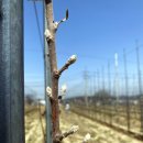 병진농장 이미지