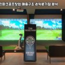 알스크린골프
