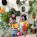 바구니농원 이미지