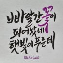 시와 캘리 이미지