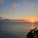 태종엘에스 | 부산 영도 가볼만한곳 - 라운지비 / 태종대 주차 / 선인장식당 / 신기산업