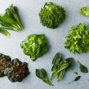 스마트팜 이미지