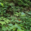 산양농장 이미지