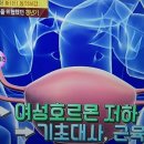 지방 분해 능력의 끝판왕,석류 이미지