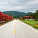 경북 울진군 온정면 - 백암온천지구 이미지