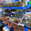 대신수산 이미지