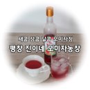 평창진이네오미자농장