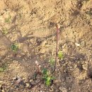 보섭농장 이미지