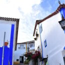 오비도스 이미지