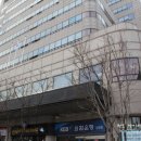 타파웨어 아이비 네이버블로그