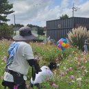 동산남성 | 제주 가족스냅 올레감사 제주스냅 새미동산 촬영 후기