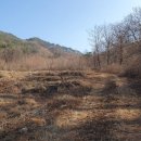 시루봉산(469m)월출산(756m) 천상봉[2](785m) 천상봉(823m) 누루목봉(686m) / 경북 김천 이미지