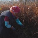 바래봉할매민박 이미지