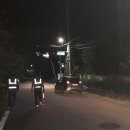 베나의 옷방 이미지