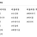 장꽁(카멜리아) 네이버블로그
