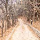 수봉공원 (문화회관방향) 이미지