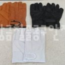 황금철물공구안전 이미지