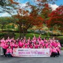 걷다보니 이미지