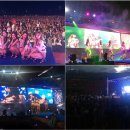 케이스텔라 이미지