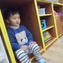 놀다가면돼지 이미지