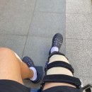 플라토닉 스튜디오&자이로토닉 이미지