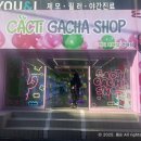 캑티 가챠샵 건대점 네이버블로그