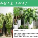광명식물화원