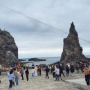 단촌부동산공인중개사사무소 이미지