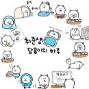 스시미락참치 | 새해가 오는게 아니라 내가 새해로 간다