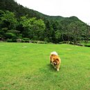 오스아트그룹