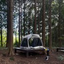 서귀포자연휴양림야영장 이미지