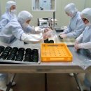 농업법인(주)참 이미지