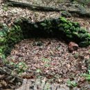 신례1리 이미지