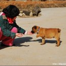 현암농장 이미지