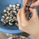 벌교엔마트