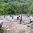 보광1리 이미지