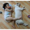 치킨몬스터 이미지