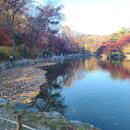 문화가 있는 날 [함께 걷는 공연 나들이] 5회차 조선으로 간 EDM | 1박2일 가을여행｜창덕궁·창경궁·수원화성 그리고 오페라 아이다 공연 후기